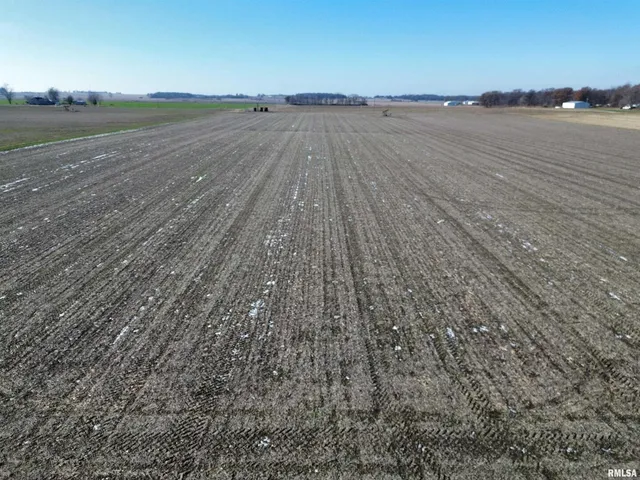 a view of a dry yard with wooden floor and fence