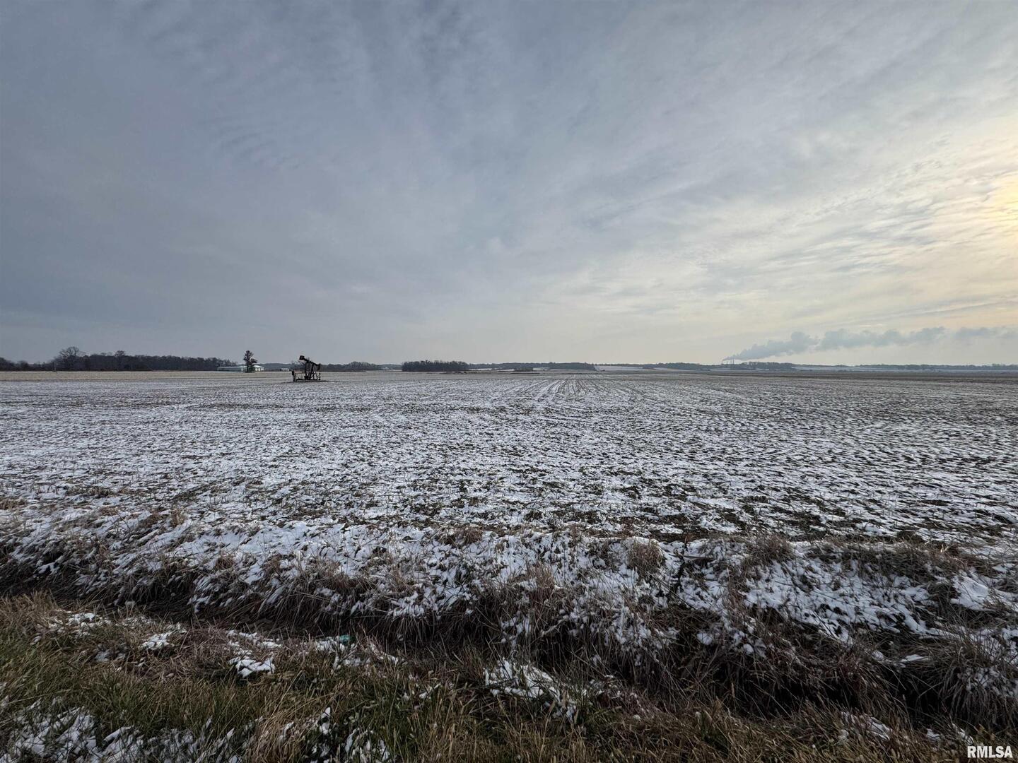 0 County Road 700 E Road Mount Carmel, IL 62863 - Photo 21 of 29 a view of a dry yard with wooden floor and fence
