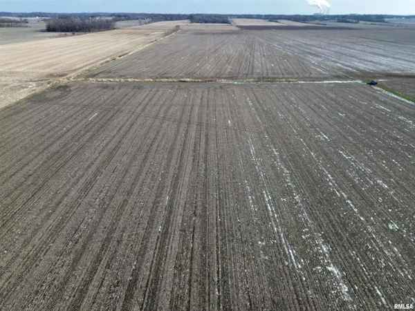 a close view of wooden floor