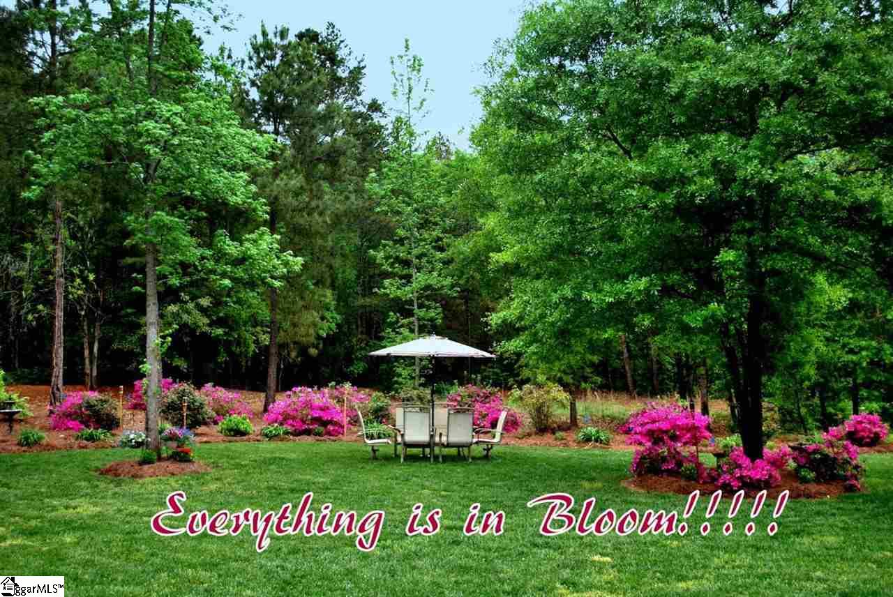 9 Knotty Drive Fountain Inn, SC 29644 - Photo 31 of 31 Gallery Image 31