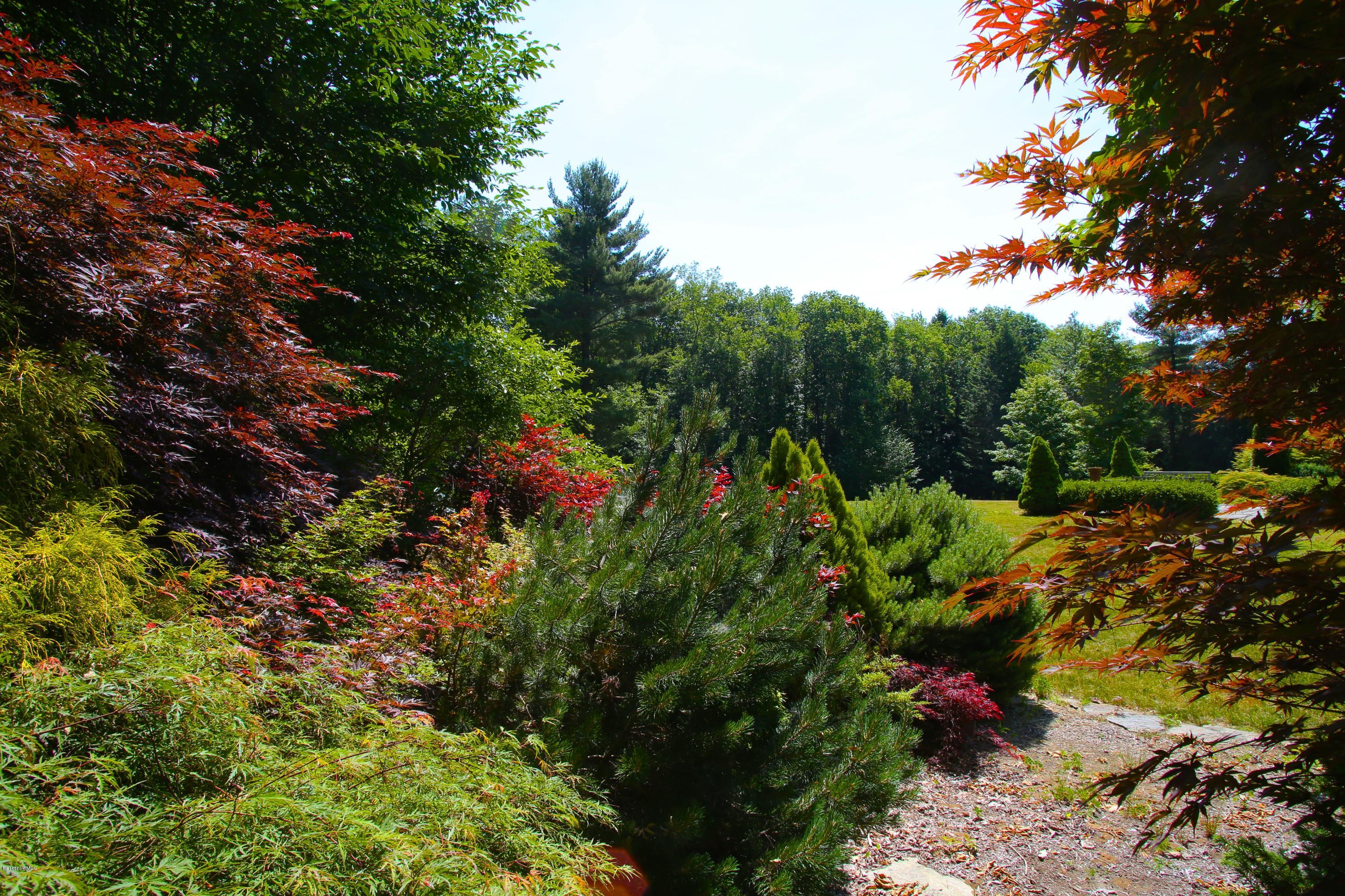 46 Stage Road Chesterfield, MA 01096 - Photo 30 of 34 a view of a garden with plants