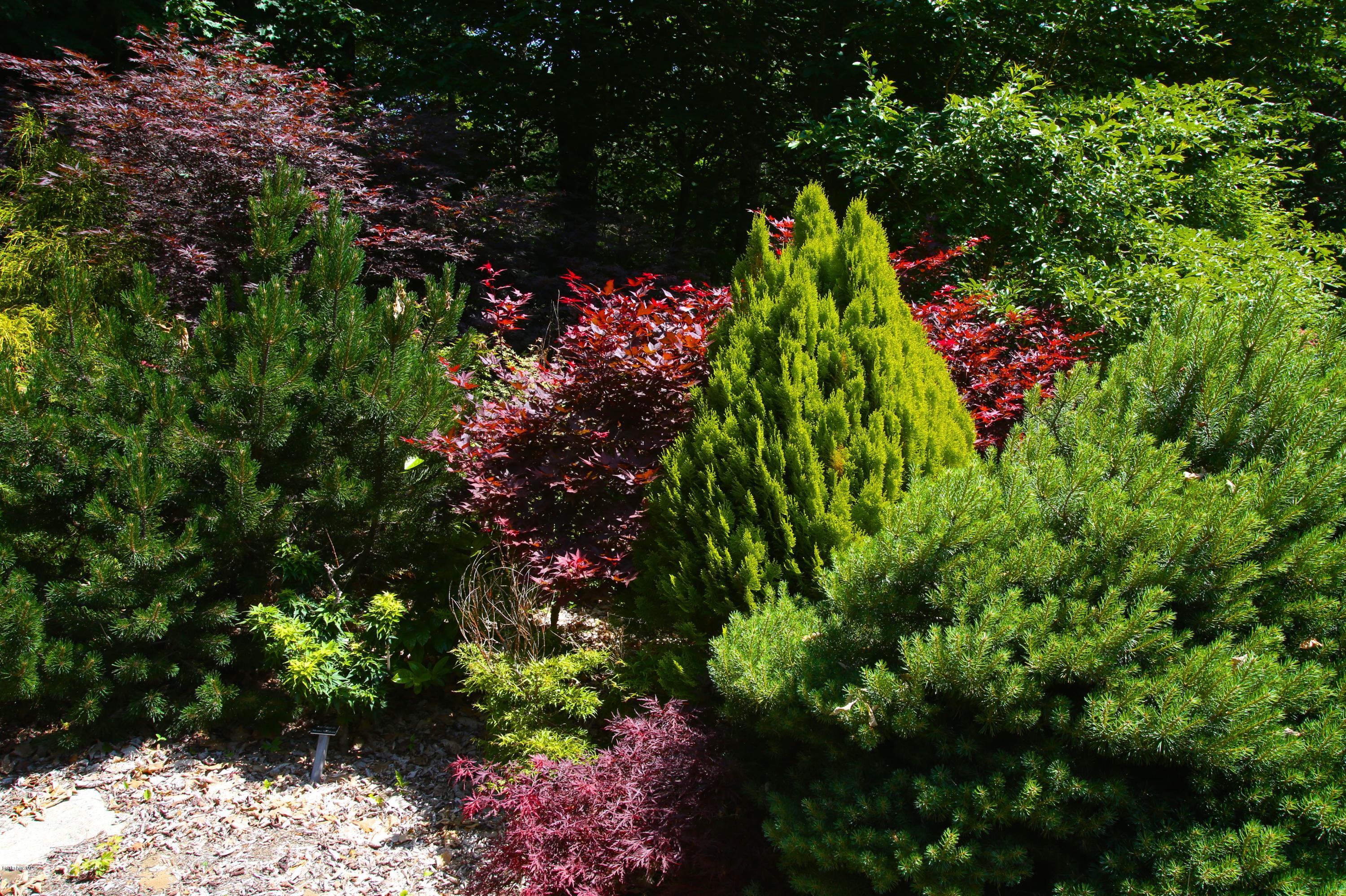 46 Stage Road Chesterfield, MA 01096 - Photo 31 of 34 a picture of flowers