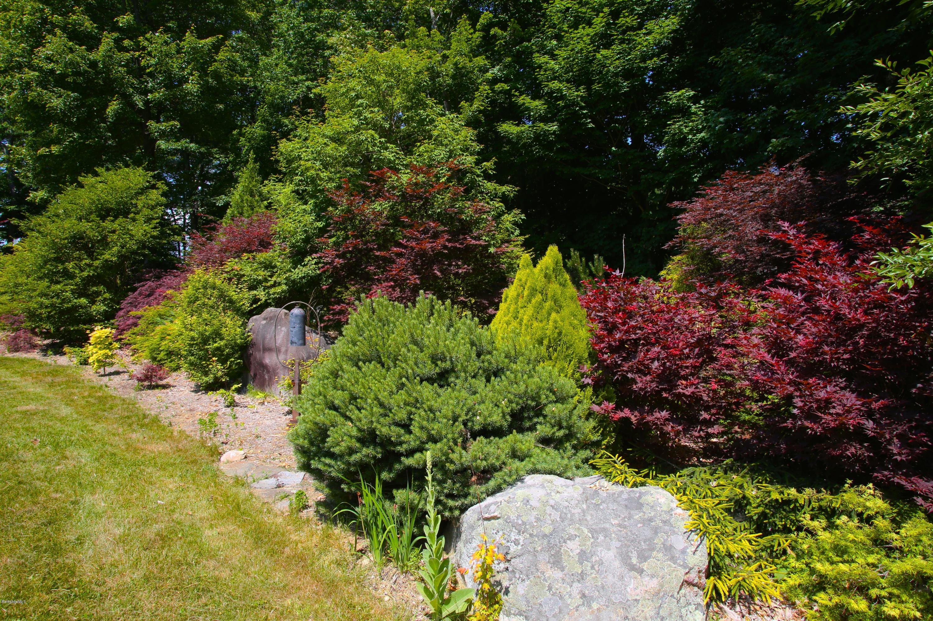46 Stage Road Chesterfield, MA 01096 - Photo 33 of 34 a view of a garden with plants