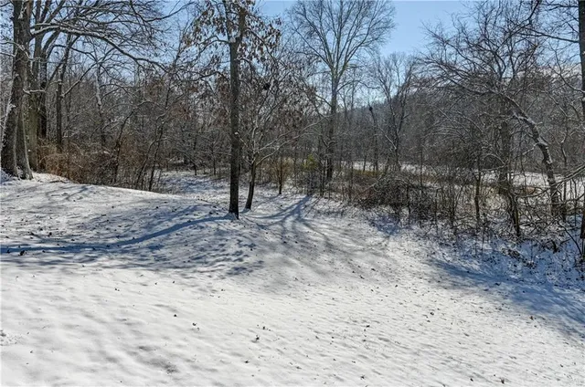 $320,000 | 10 Bluebird Drive, Agency, MO 64401