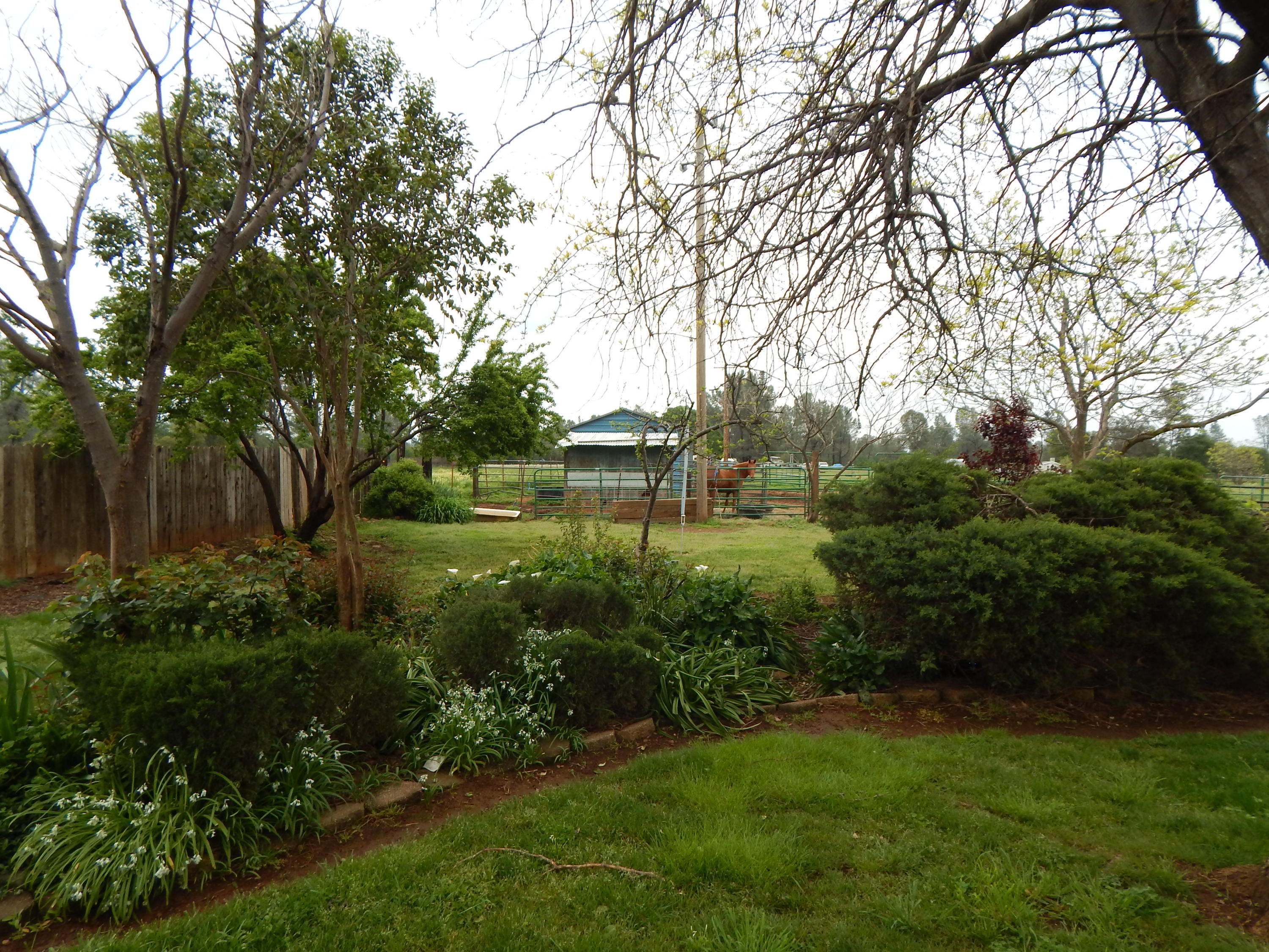 17600 Olinda Road Anderson, CA 96007 - Photo 11 of 60 DSCN7927