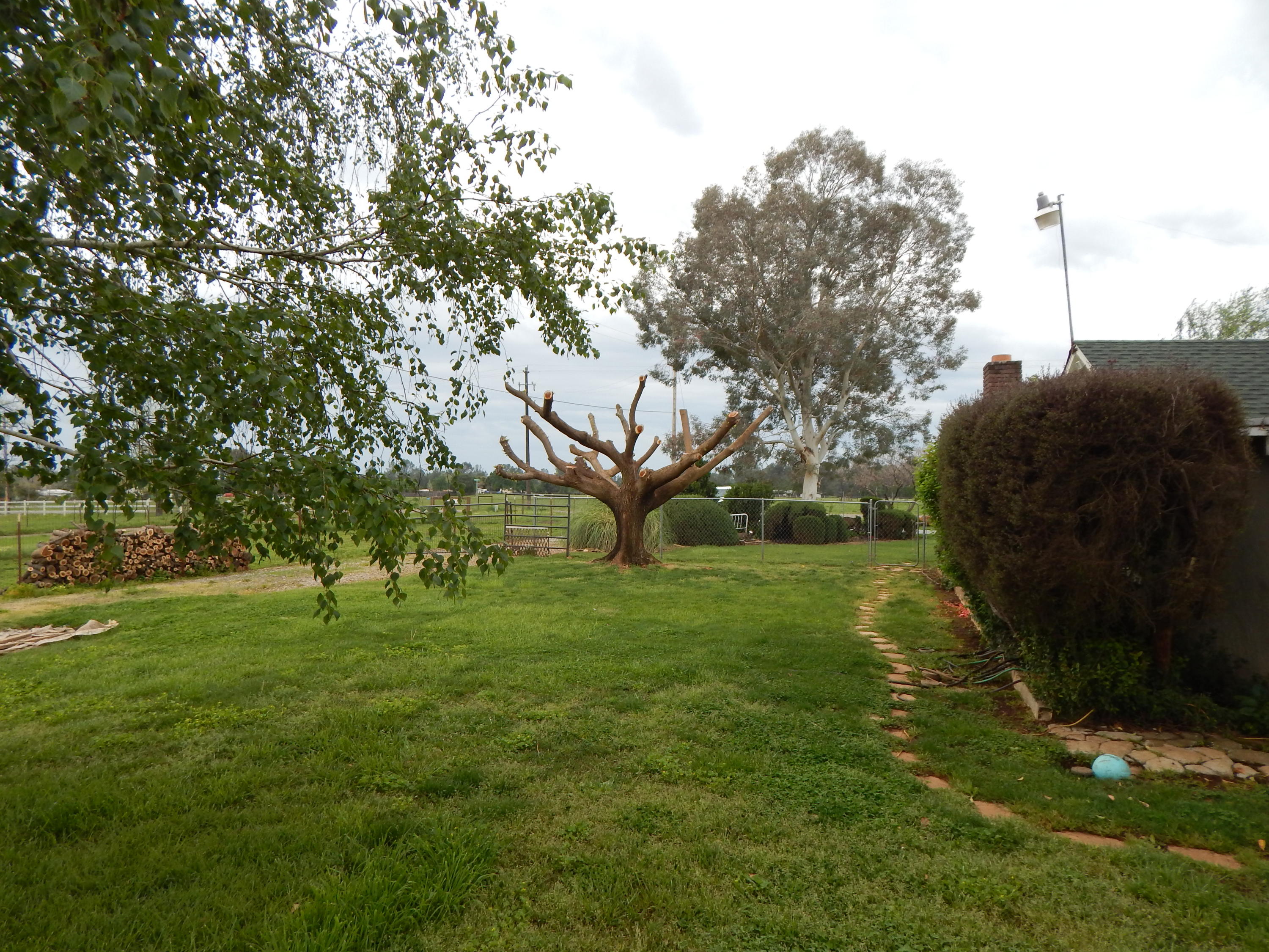 17600 Olinda Road Anderson, CA 96007 - Photo 17 of 60 DSCN7933