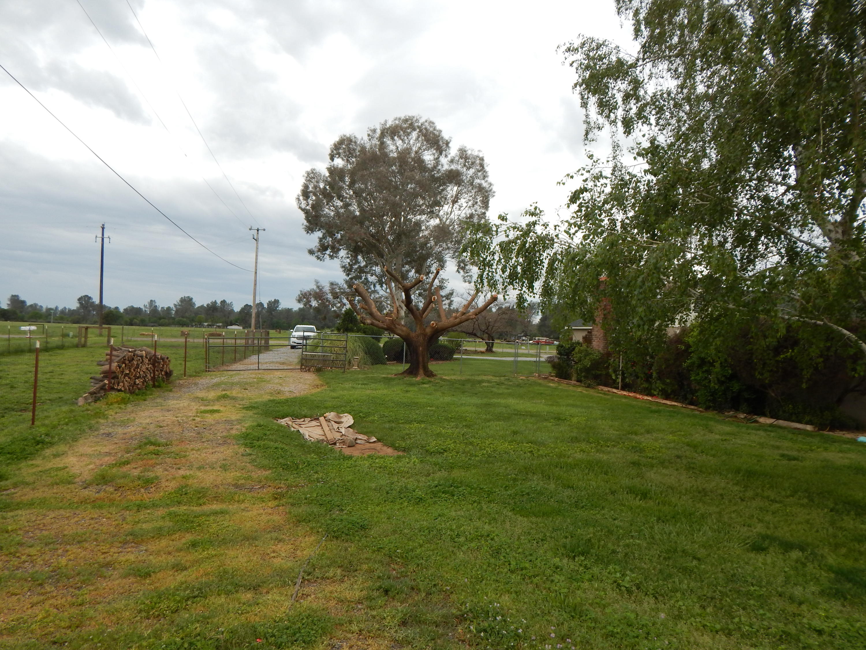 17600 Olinda Road Anderson, CA 96007 - Photo 18 of 60 DSCN7934