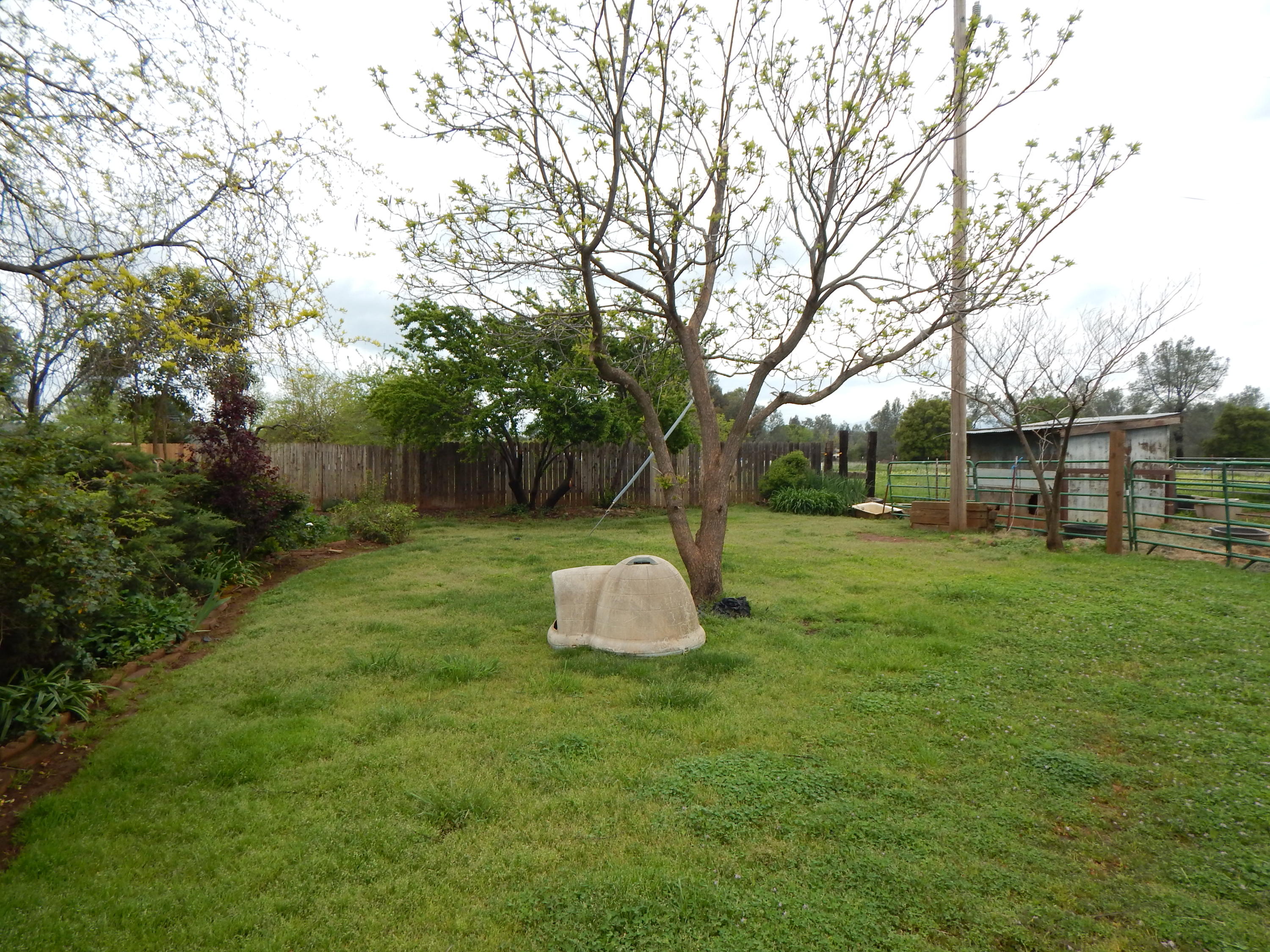 17600 Olinda Road Anderson, CA 96007 - Photo 19 of 60 DSCN7935