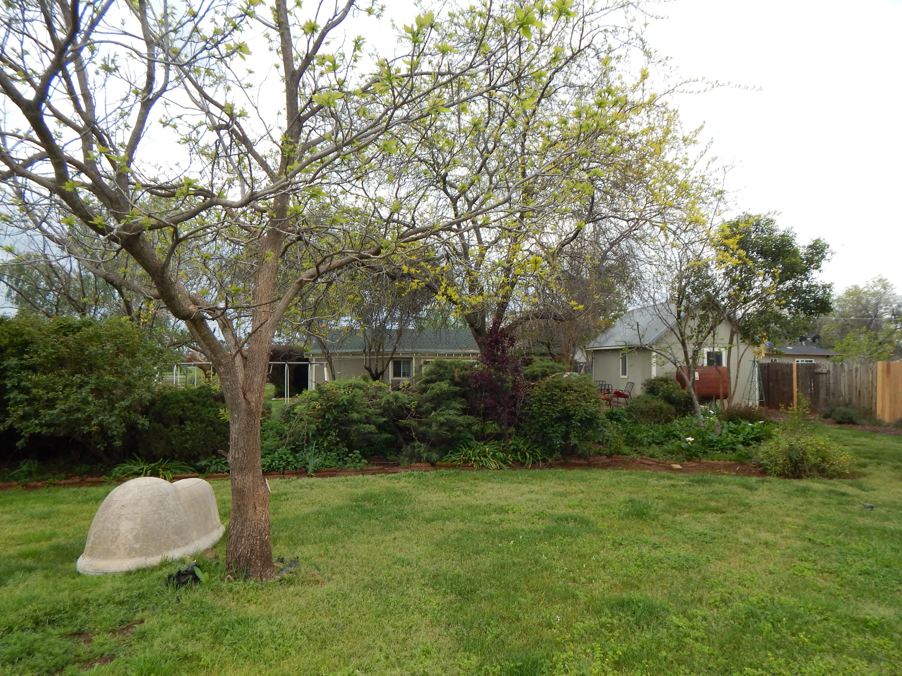 17600 Olinda Road Anderson, CA 96007 - Photo 20 of 60 DSCN7936