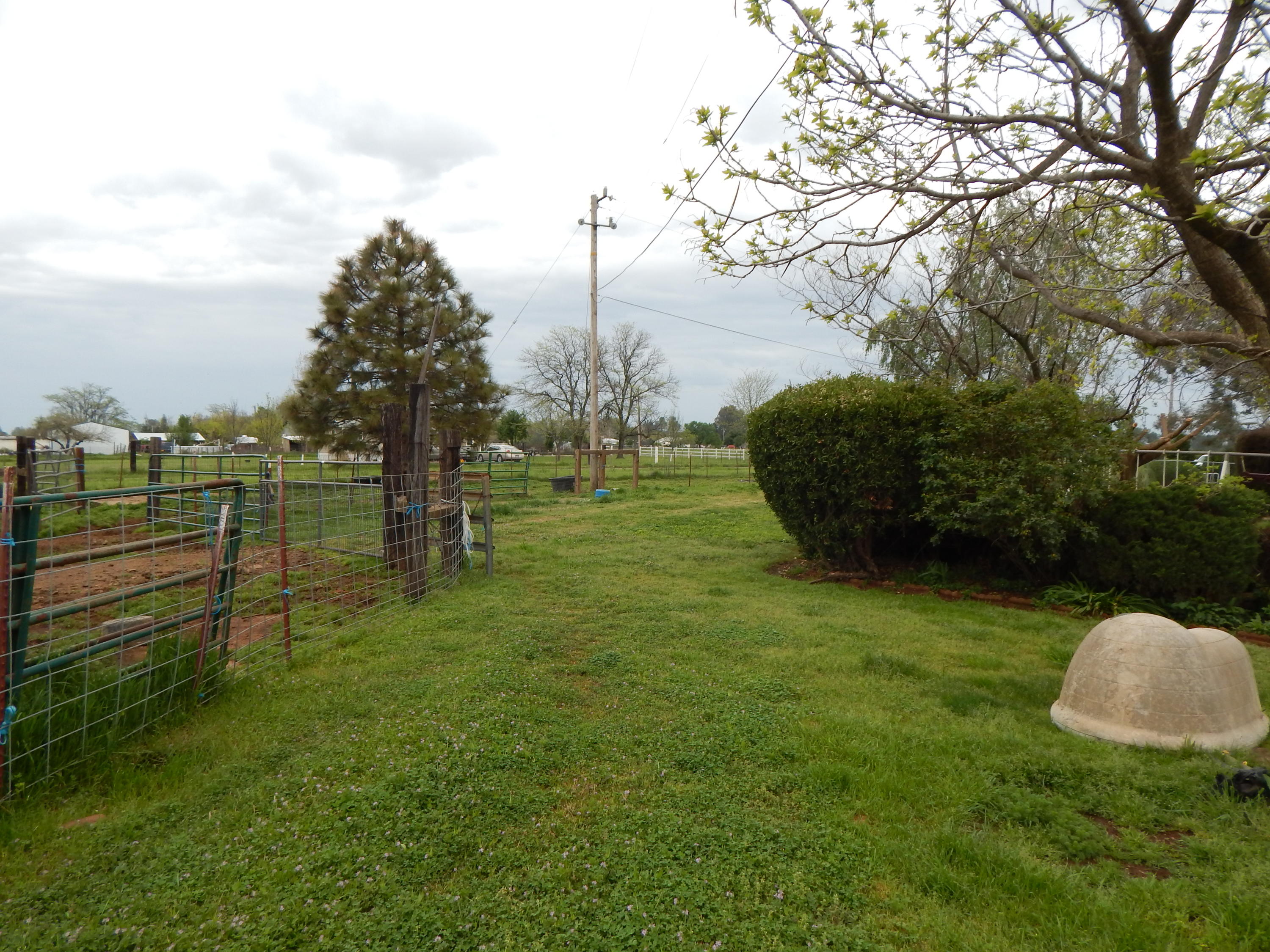 17600 Olinda Road Anderson, CA 96007 - Photo 21 of 60 DSCN7937