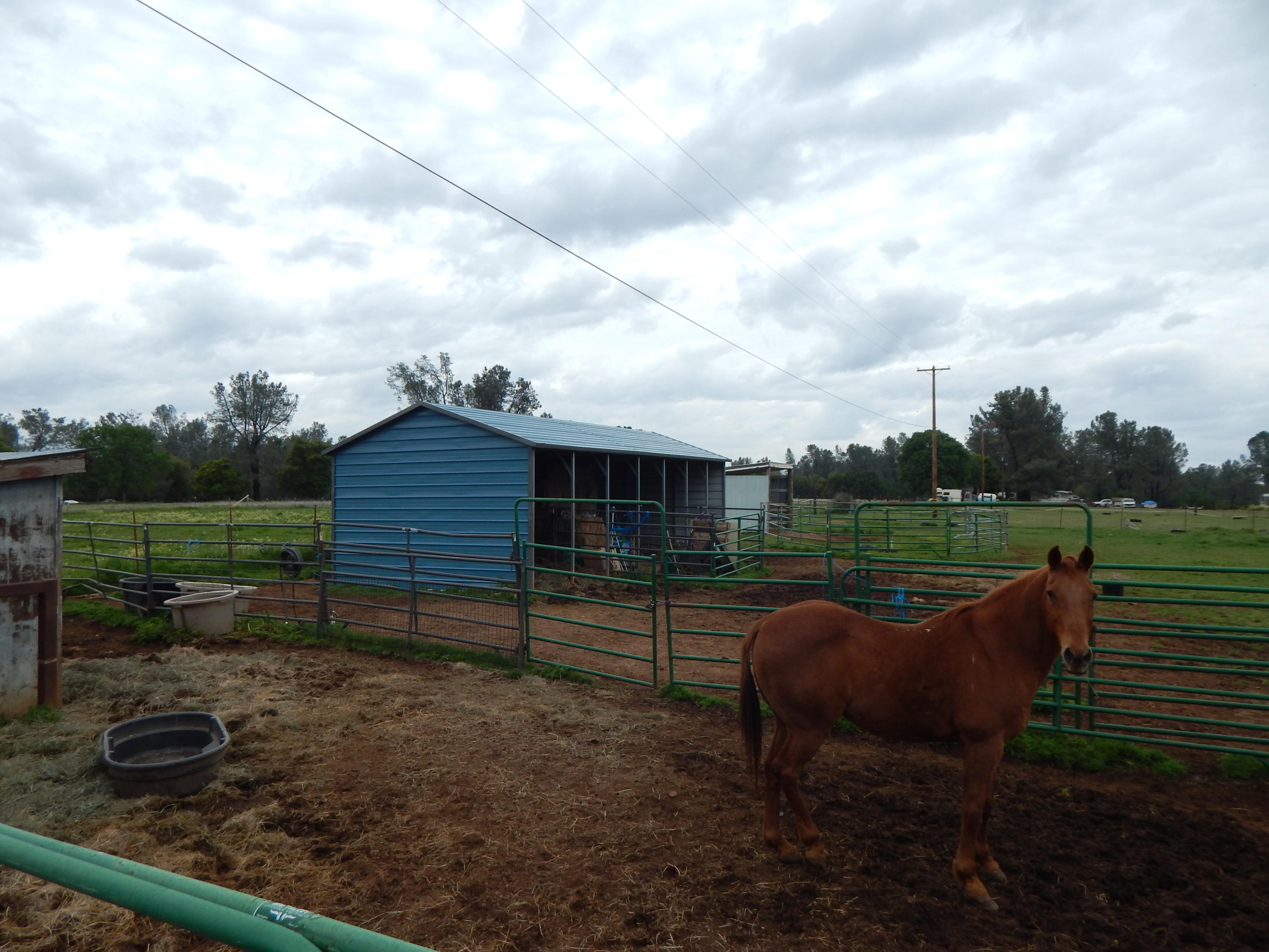 17600 Olinda Road Anderson, CA 96007 - Photo 22 of 60 DSCN7938