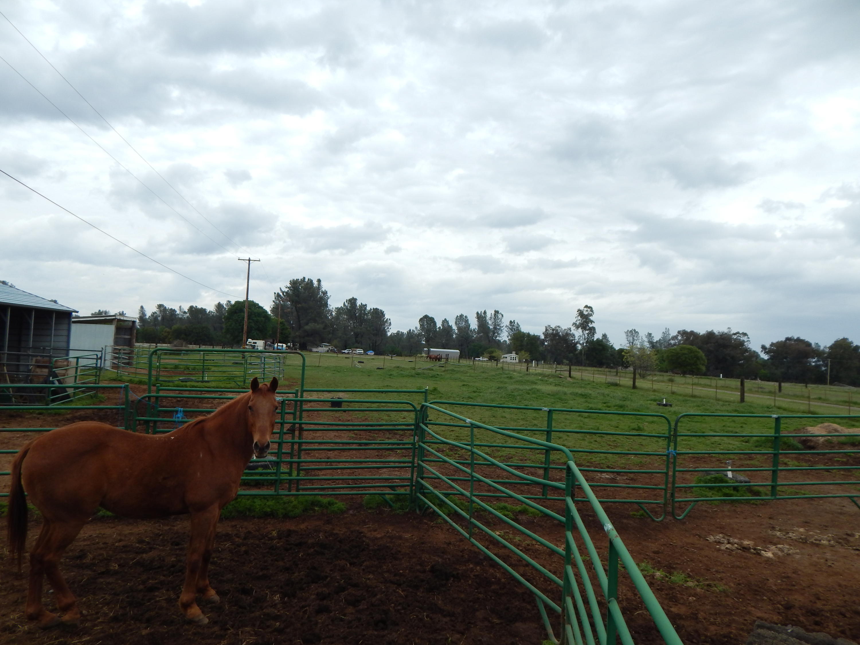 17600 Olinda Road Anderson, CA 96007 - Photo 23 of 60 DSCN7939