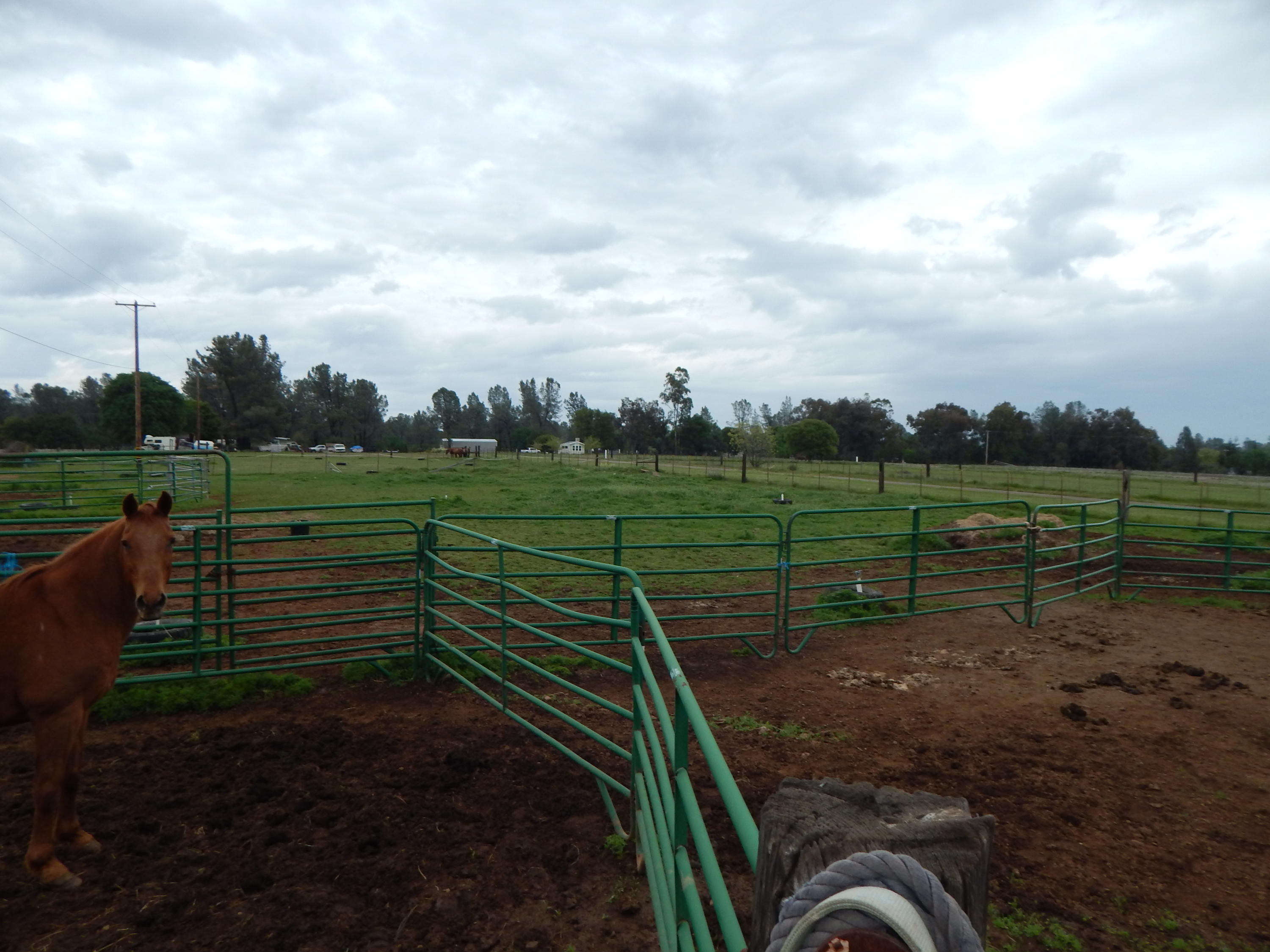 17600 Olinda Road Anderson, CA 96007 - Photo 24 of 60 DSCN7940