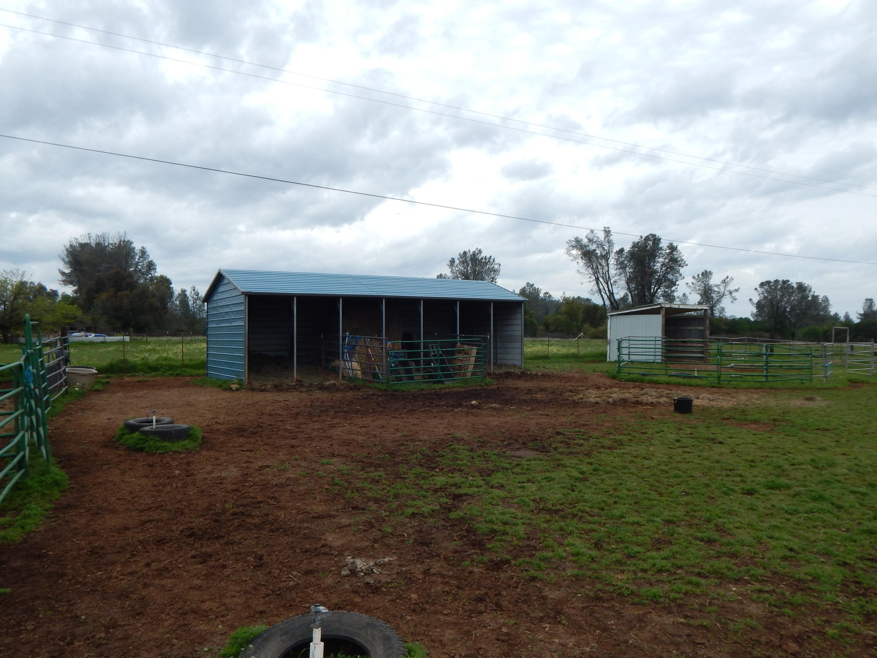 17600 Olinda Road Anderson, CA 96007 - Photo 25 of 60 DSCN7941