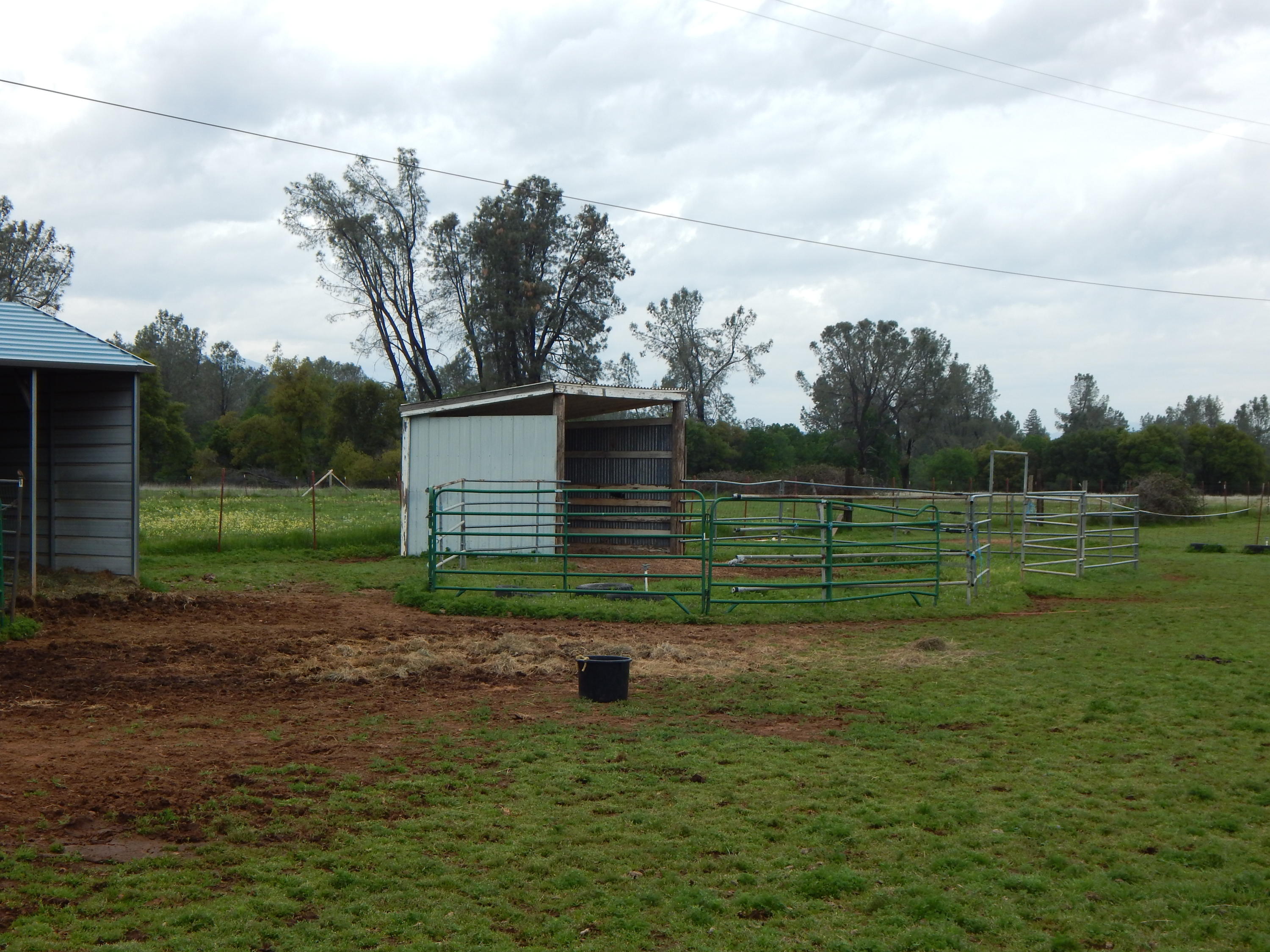 17600 Olinda Road Anderson, CA 96007 - Photo 27 of 60 DSCN7943