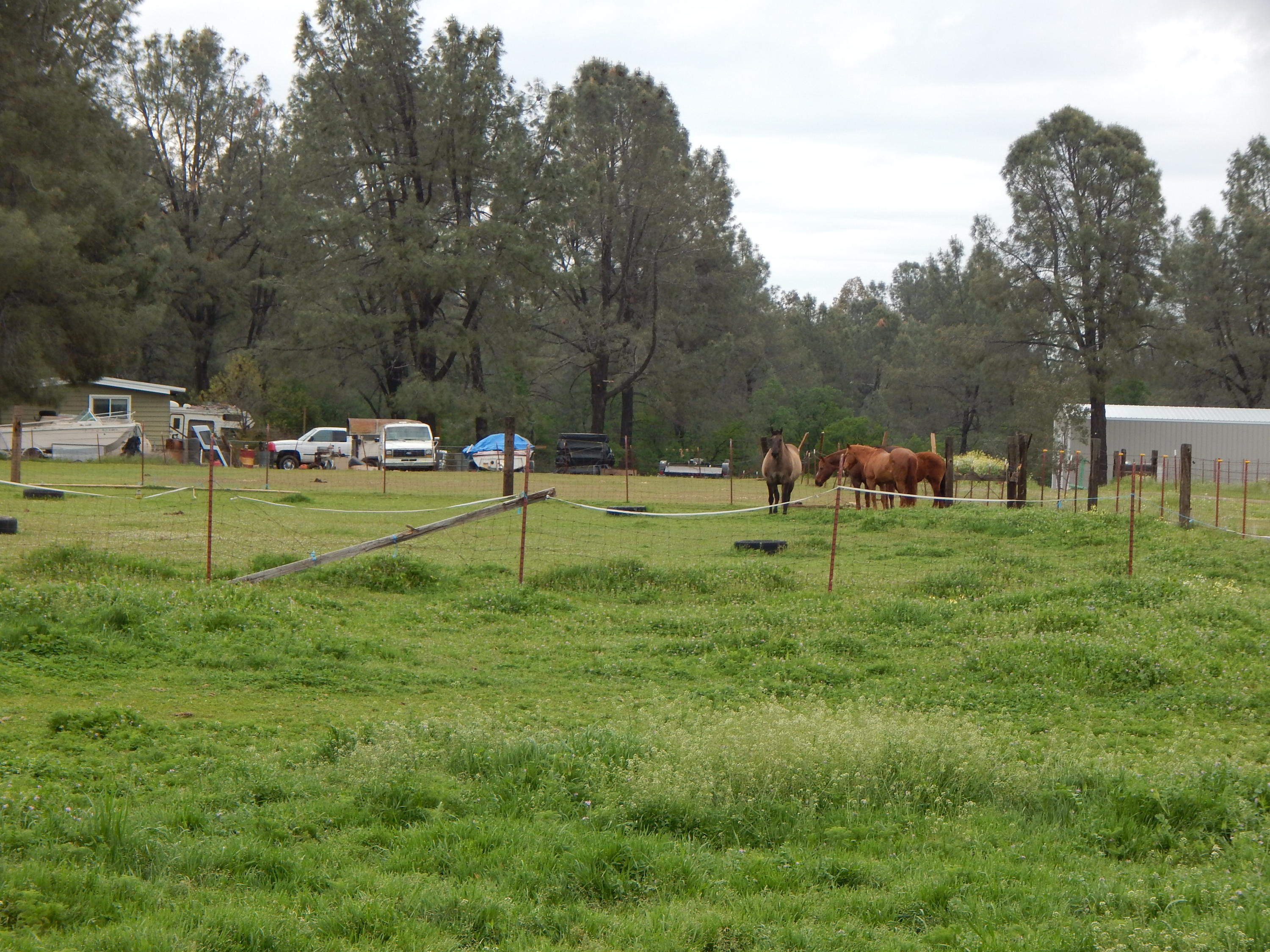 17600 Olinda Road Anderson, CA 96007 - Photo 29 of 60 DSCN7945