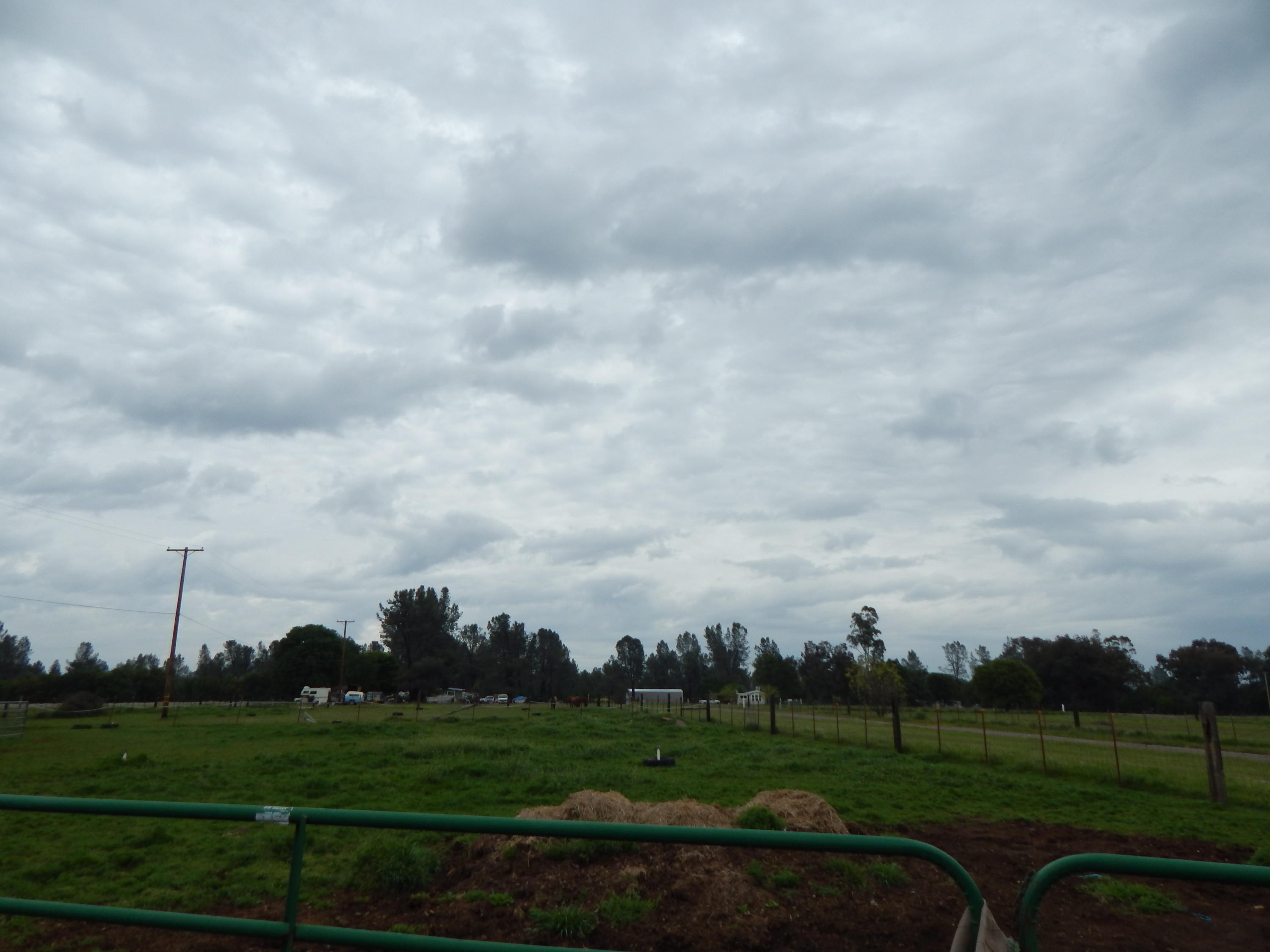 17600 Olinda Road Anderson, CA 96007 - Photo 30 of 60 DSCN7946