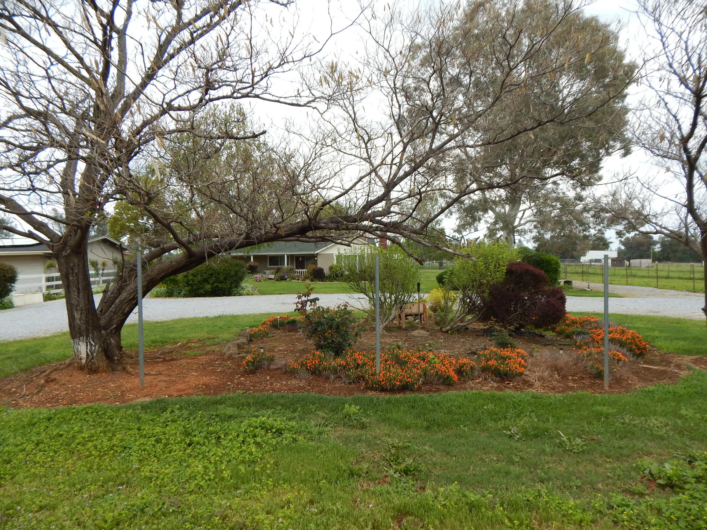 17600 Olinda Road Anderson, CA 96007 - Photo 4 of 60 DSCN7919