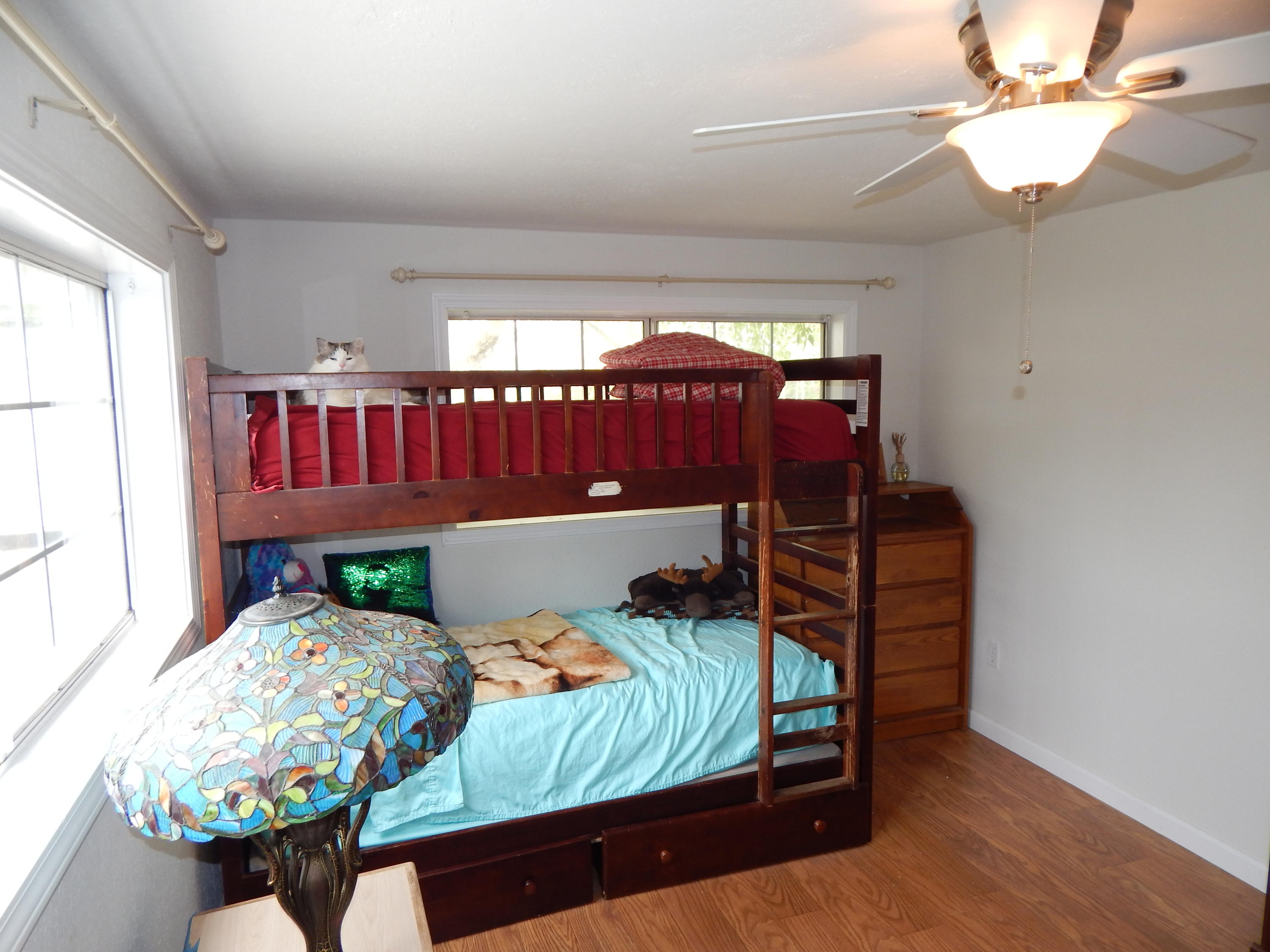 17600 Olinda Road Anderson, CA 96007 - Photo 54 of 60 DSCN7999