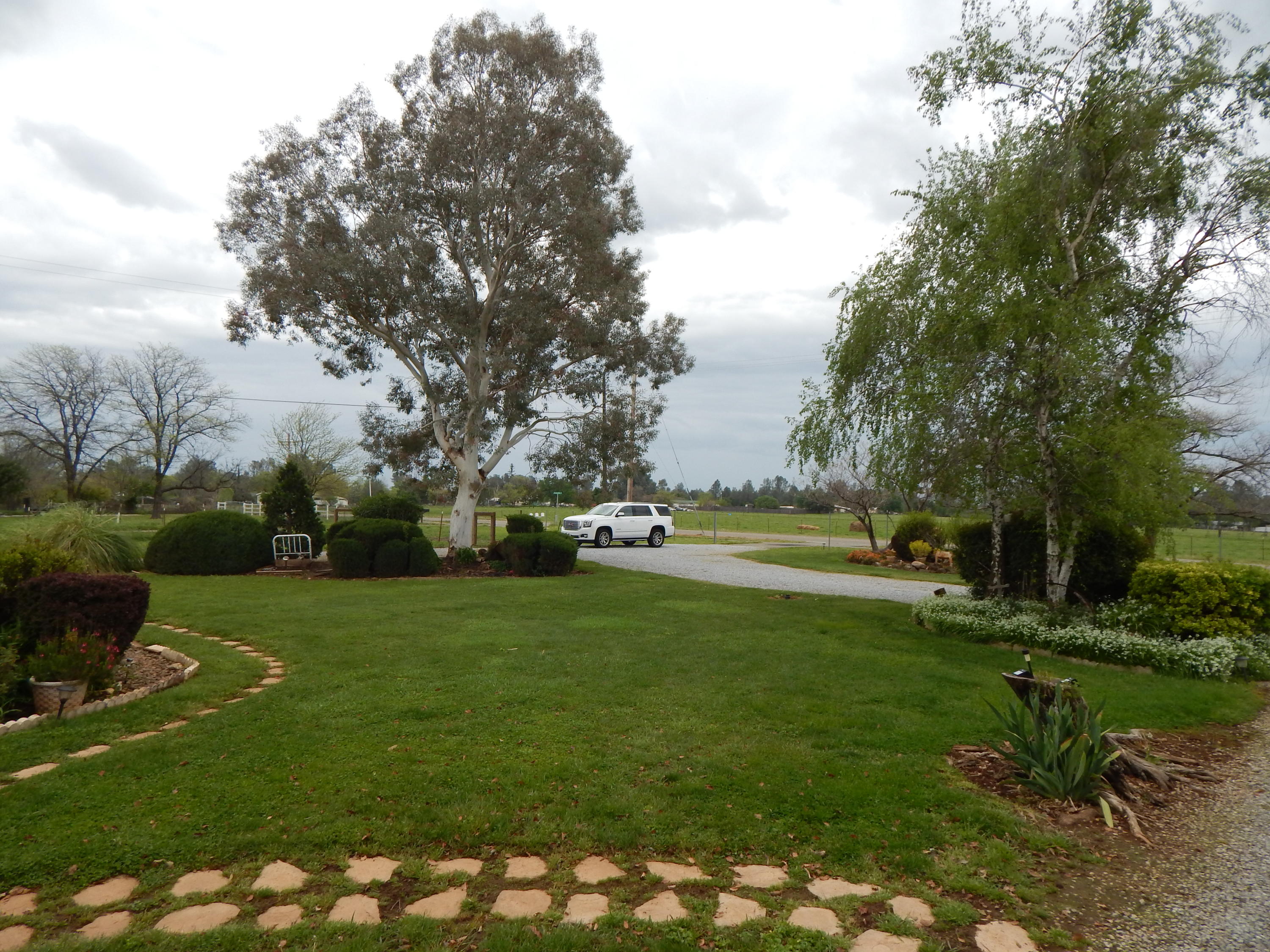 17600 Olinda Road Anderson, CA 96007 - Photo 7 of 60 DSCN7922