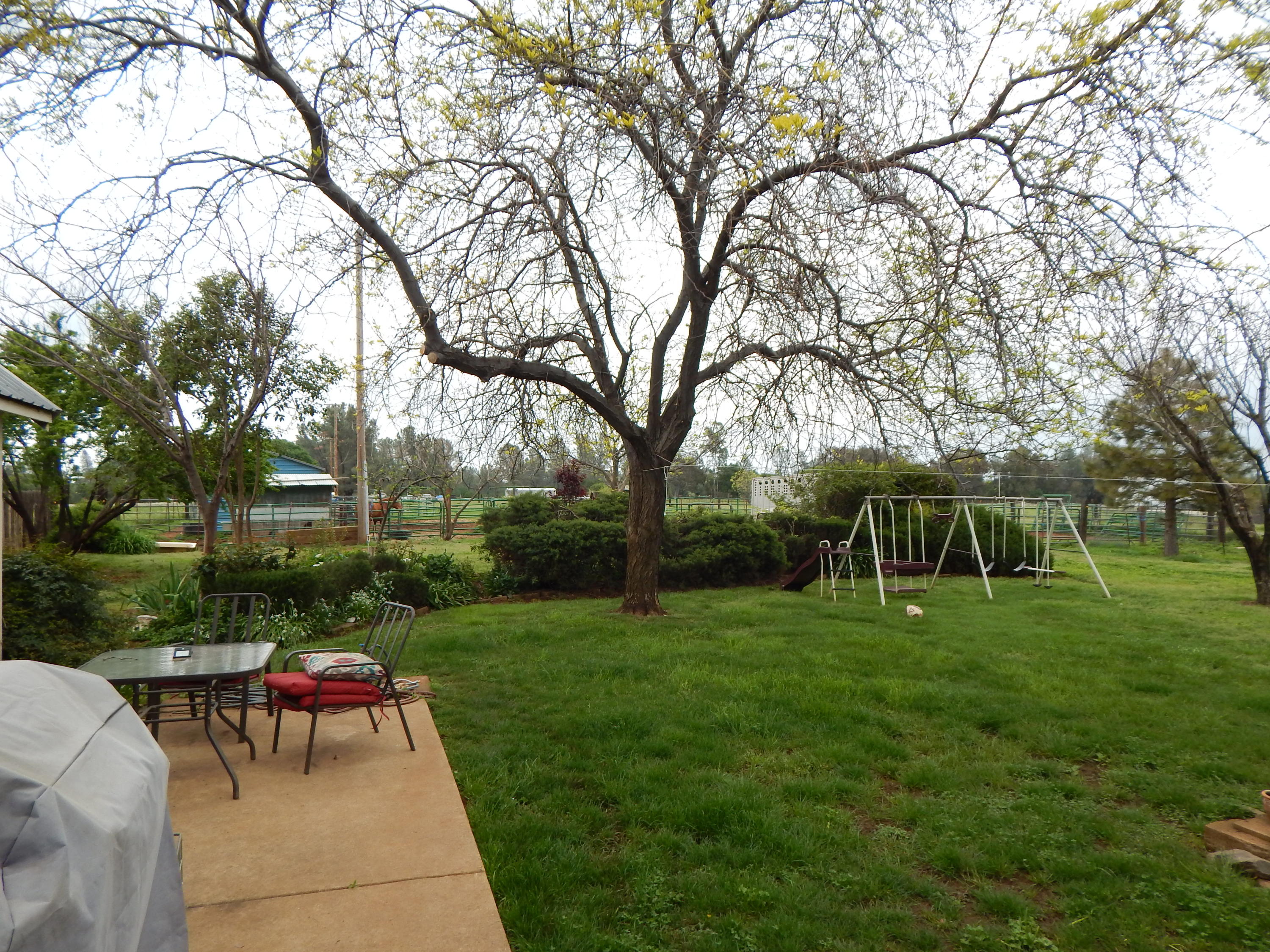 17600 Olinda Road Anderson, CA 96007 - Photo 9 of 60 DSCN7925