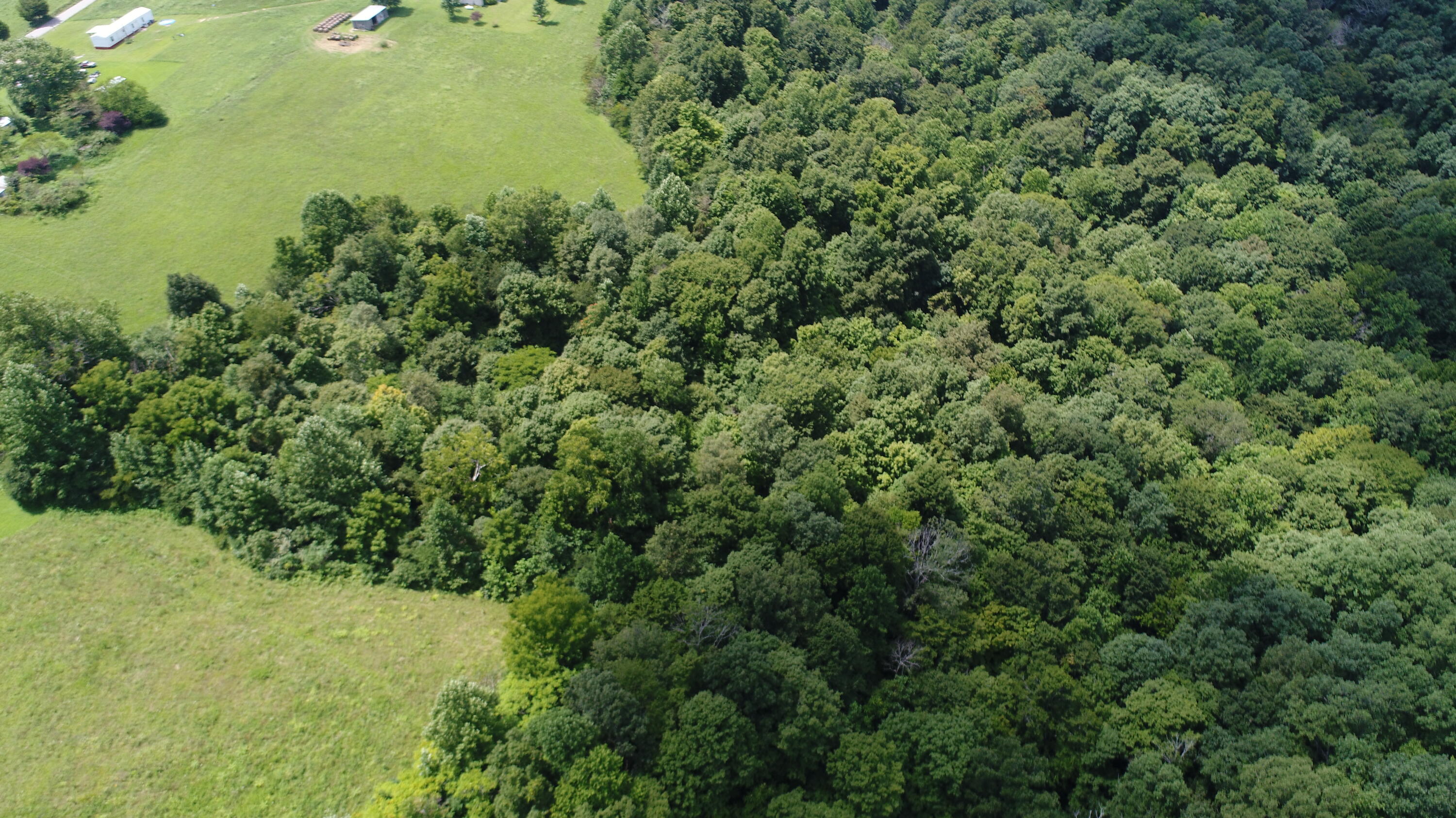 2 Pointer Creek Road Nancy, KY 42544 - Photo 12 of 13 DJI_0444