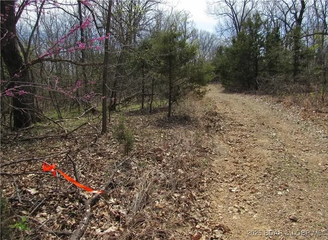 $39,900 | Tbd Tbd Smooth Hill Drive, Versailles, MO 65084