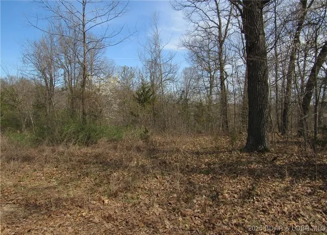 $39,900 | Tbd Tbd Smooth Hill Drive, Versailles, MO 65084