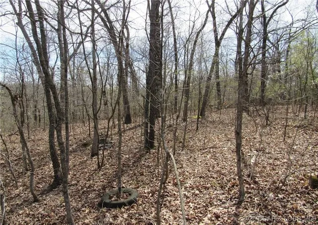 $39,900 | Tbd Tbd Smooth Hill Drive, Versailles, MO 65084