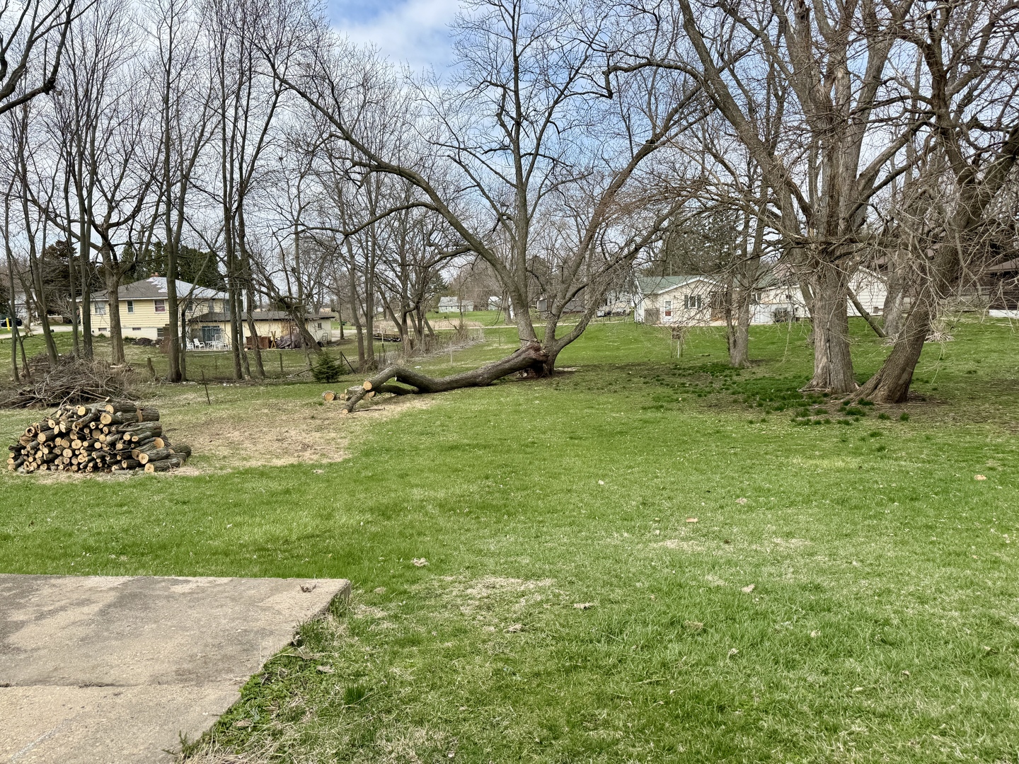 405 North 4th Street Neponset, IL 61345 - Photo 18 of 20 a view of a park with large trees