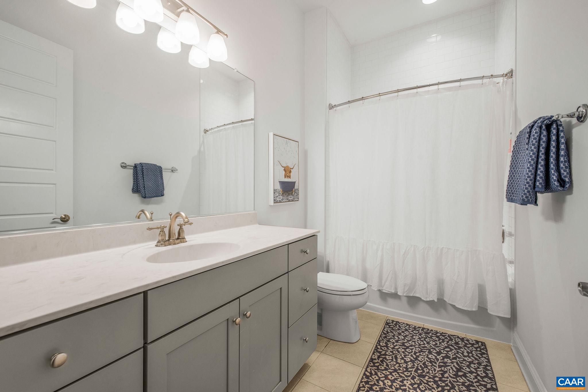 2744 Lockerbie Lane Keswick, VA 22947 - Photo 32 of 75 a bathroom with a sink a toilet a shower and a mirror