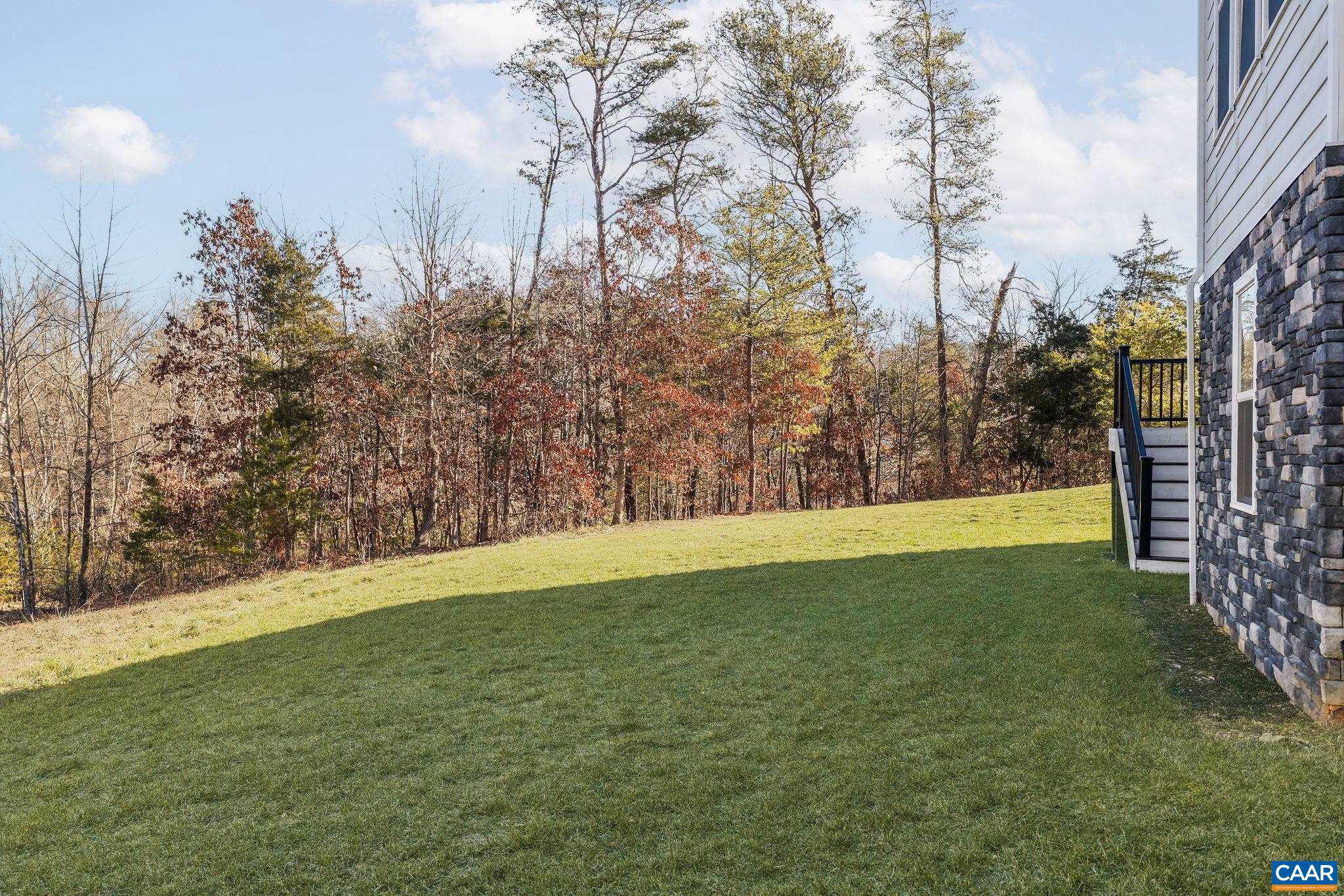2744 Lockerbie Lane Keswick, VA 22947 - Photo 58 of 75 a view of yard with trees