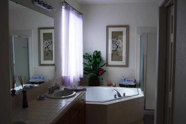 1680 Canyonlands Way Reno, NV 89521 - Photo 8 of 9 a bathroom with a sink and a mirror