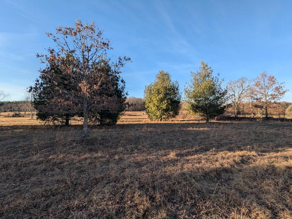 Tbd Firehouse Road Northwest Willis, VA 24380 - Photo 21 of 23 a view of dirt yard