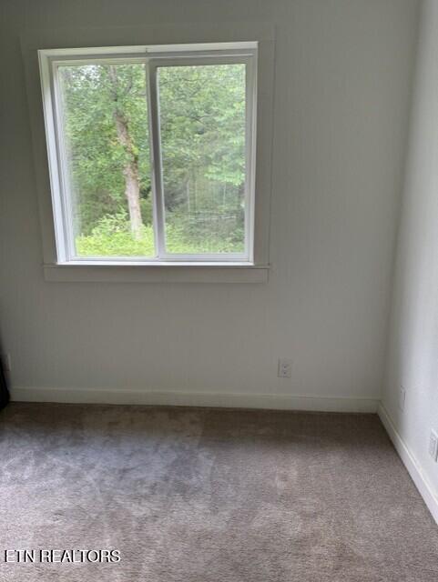 2410 Perilla Road Cosby, TN 37722 - Photo 25 of 50 PERILLA BR2