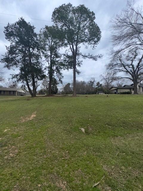 812 Lakeside Drive Athens, TX 75751 - Photo 13 of 13 a view of a field with an trees