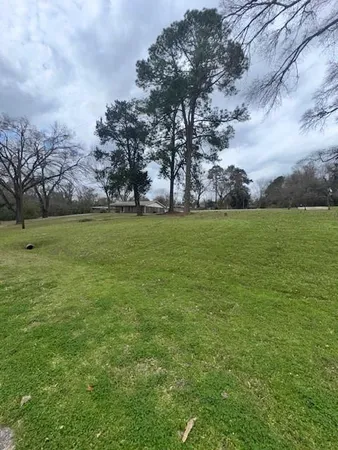 a view of a field with an trees