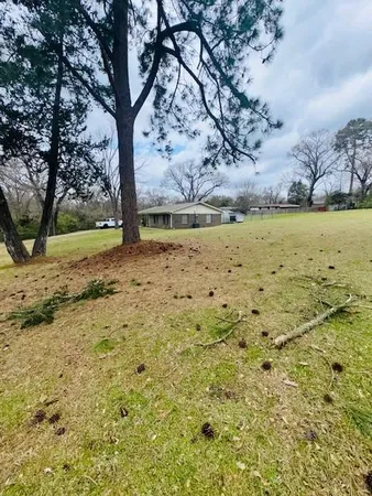 a view of a yard with large trees