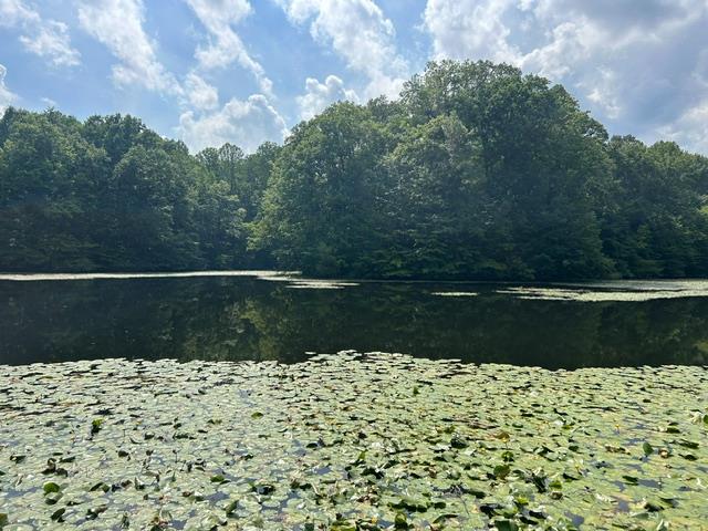 24229 Sanes Creek Road Laurel, IN 47024 - Photo 16 of 54