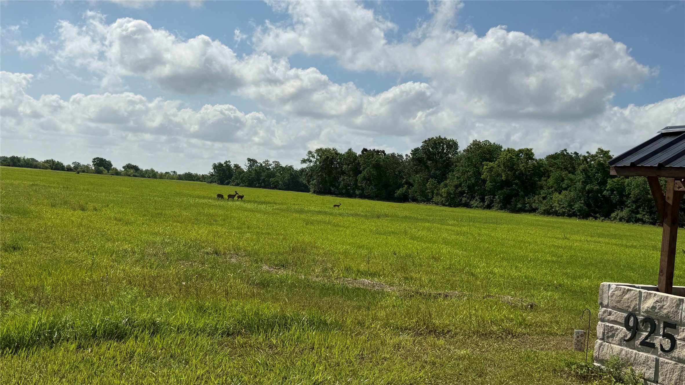 1008 Chuckwagon Trail Angleton, TX 77515 - Photo 5 of 7