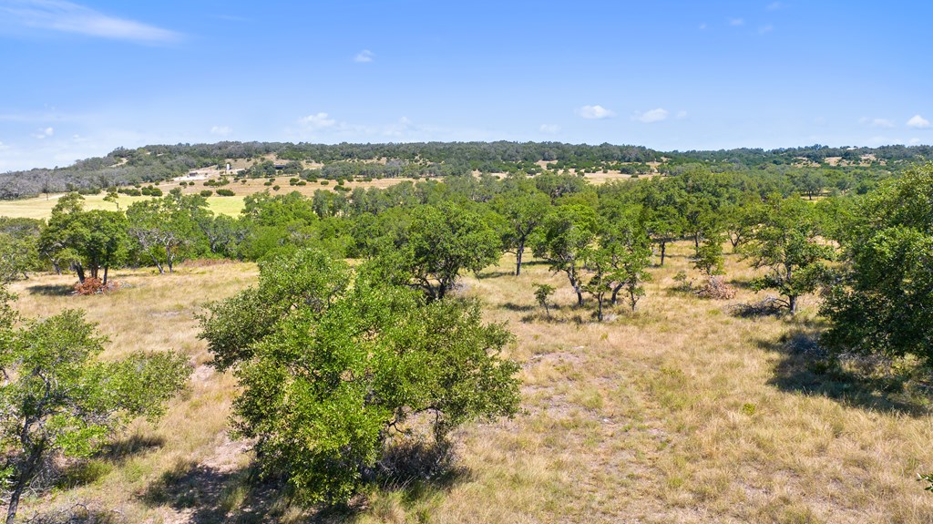 20 Ranch Road, Unit 20 Blanco, TX 78606 - Photo 8 of 8 Gallery Image 8