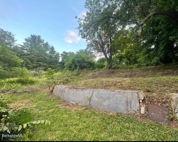 21 Enterprise Street Adams, MA 01220 - Photo 28 of 31 a backyard of a house with lots of green space