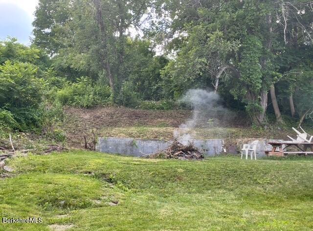 21 Enterprise Street Adams, MA 01220 - Photo 31 of 31 a view of yard with green space