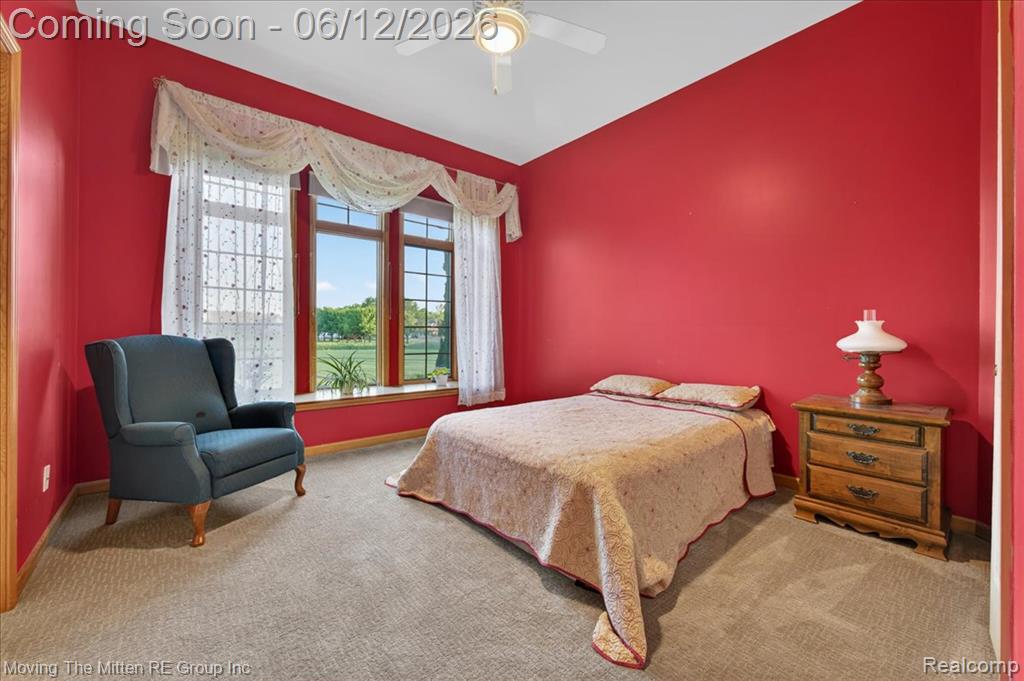 39750 Willow Road New Boston, MI 48164 - Photo 23 of 68