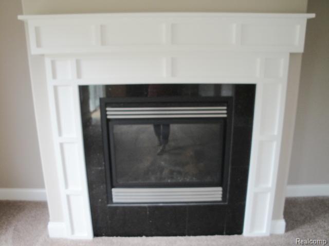 7866 Church Road Imlay City, MI 48444 - Photo 8 of 22 Gas fireplace