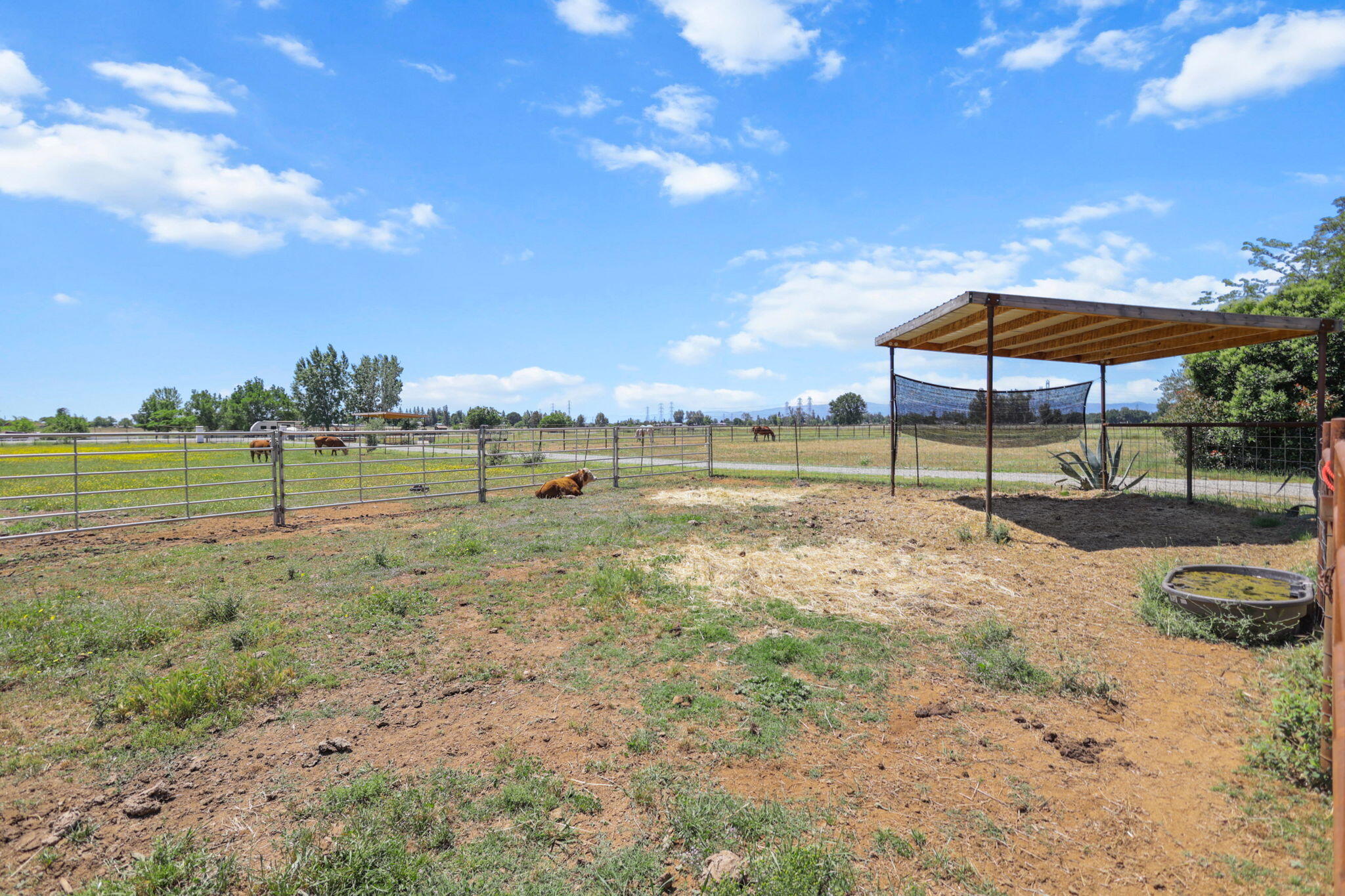 12481 Paskenta Road Red Bluff, CA 96080 - Photo 49 of 82 39-web-or-mls-8Q0A0271