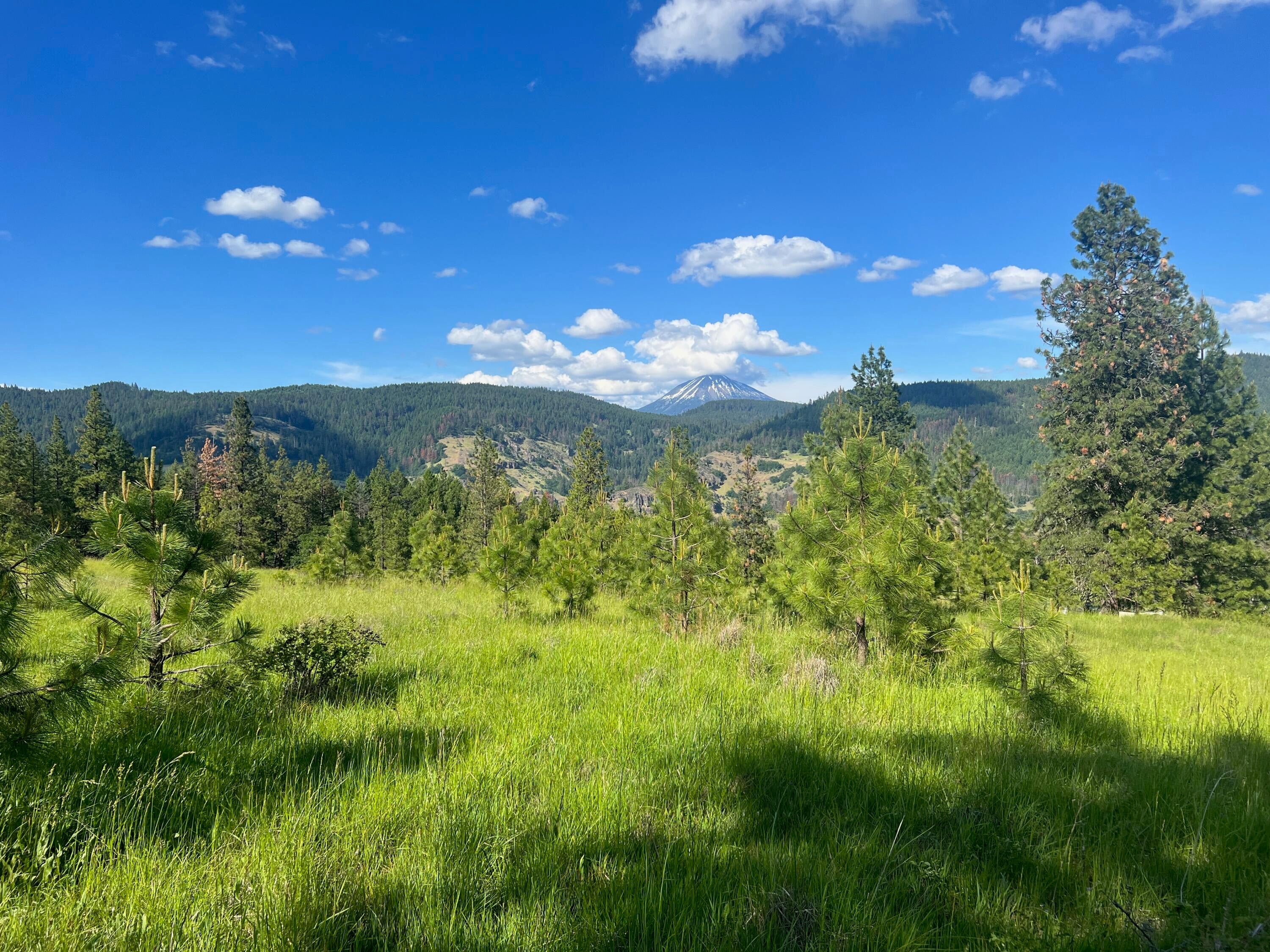 0 South F Little Butte Creek Road, Unit 2700 Eagle Point, OR 97524 - Photo 5 of 16 5