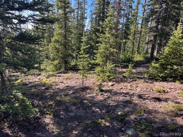 Lot 6525 Schlueter Road San Luis, CO 81152 - Photo 9 of 21