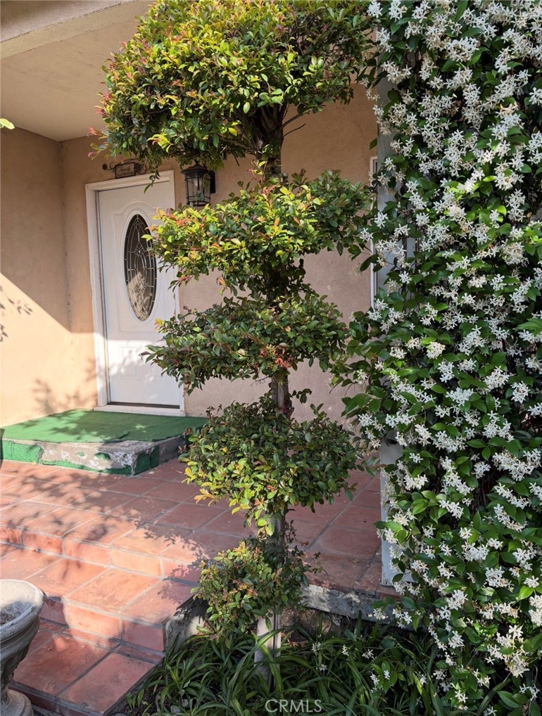 10322 Rincon Avenue Pacoima, CA 91331 - Photo 5 of 22