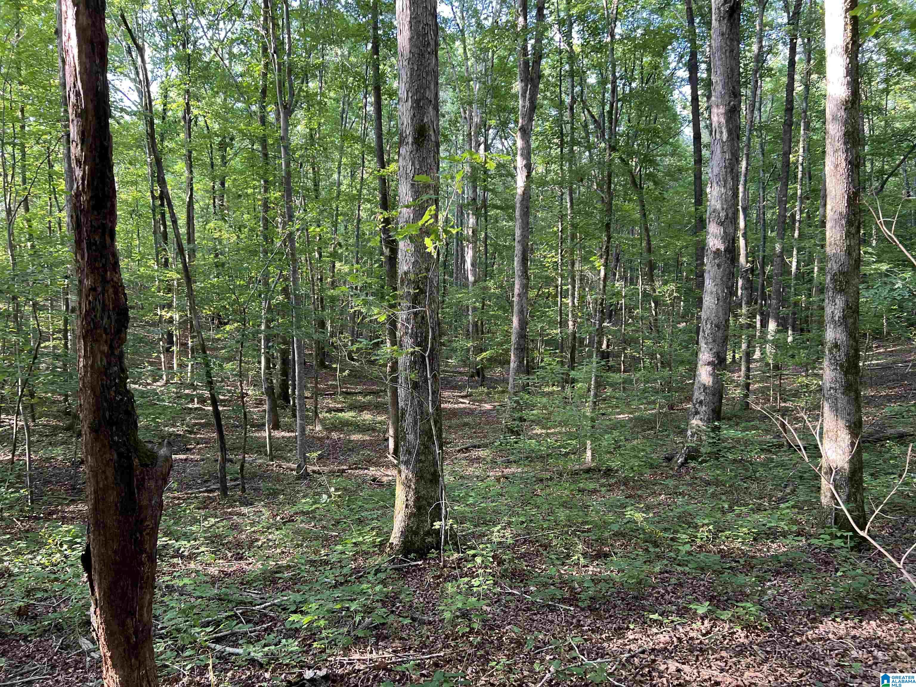 1515 Kelly Ranch Road, Unit 138 ACRES / Talladega, AL 35160 - Photo 22 of 42